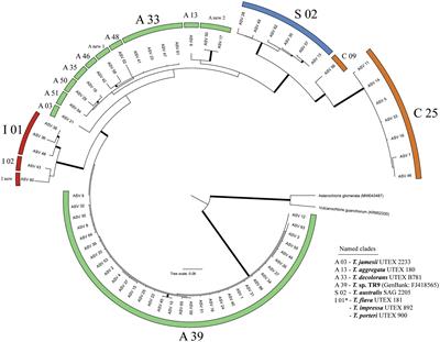 The Role of Photobionts as Drivers of Diversification in an Island Radiation of Lichen-Forming Fungi